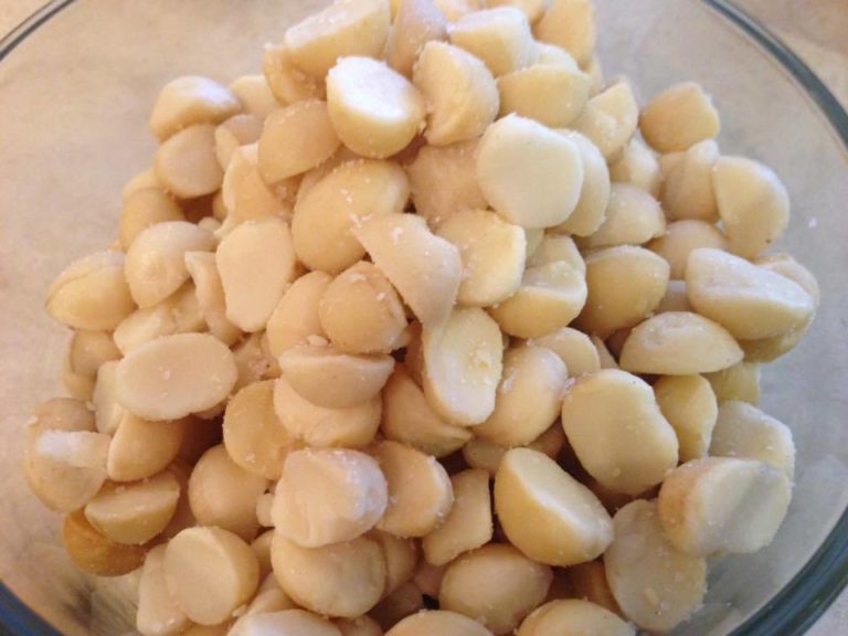 Roasted Macadamia Nuts Keto Island